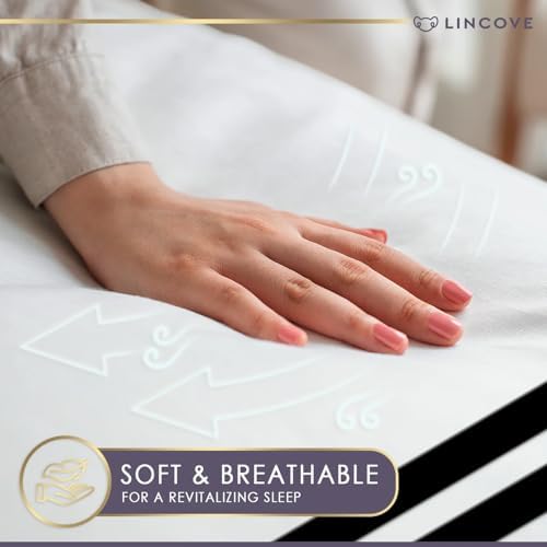Lincove 100 Cotton Duvet Cover Queen Size 1