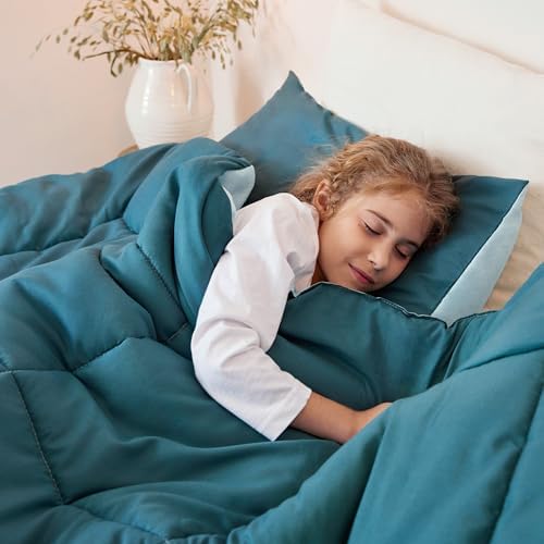 Exclusivo Mezcla Lightweight Summer Reversible Comforter Set
