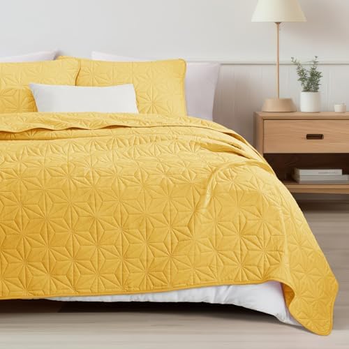 Whale Flotilla Queen Quilt Set with Geometric Star Pattern