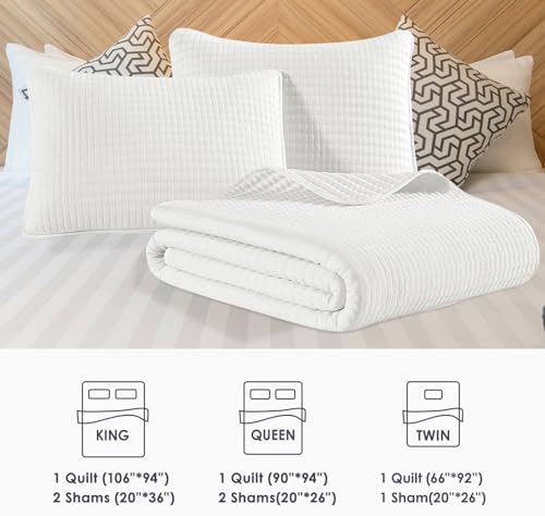 WRENSONGE Queen Quilt Set 3-Piece Microfiber