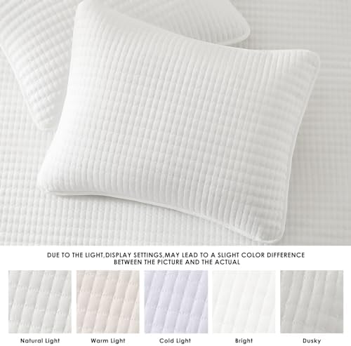 WRENSONGE Queen Quilt Set 3-Piece Microfiber