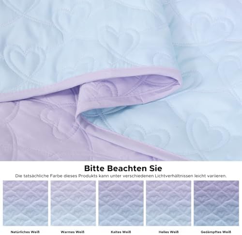 SCHNAUZER HOME Quilt Set Full Queen 3 Piece Bailey Pattern