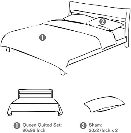Travan 3-Piece Queen Quilt Set with Shams 1