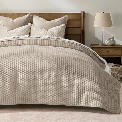 EVERGRACE Velvet Quilt Set King Size 3 Piece Light Taupe