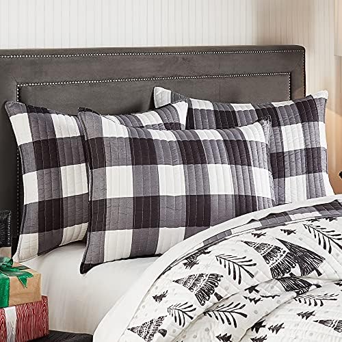 Levtex Home Northern Star Quilt Set - FullQueen 88x92in 2 Pillow Shams 26x20in