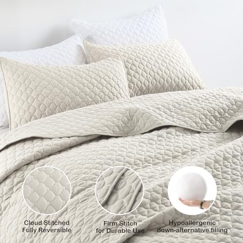 HORIMOTE HOME Quilt Set Queen Size Beige Cloud Pattern