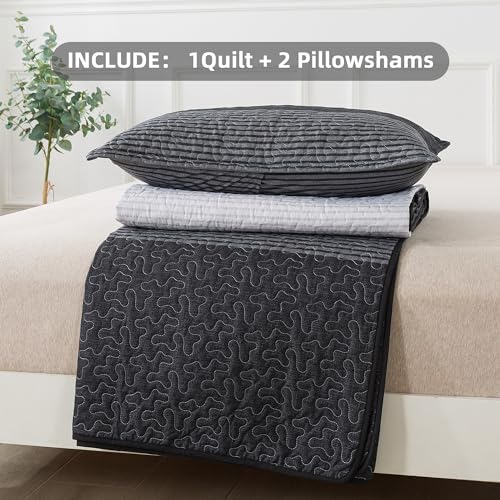 Andency Queen Quilt Set Black and White Striped