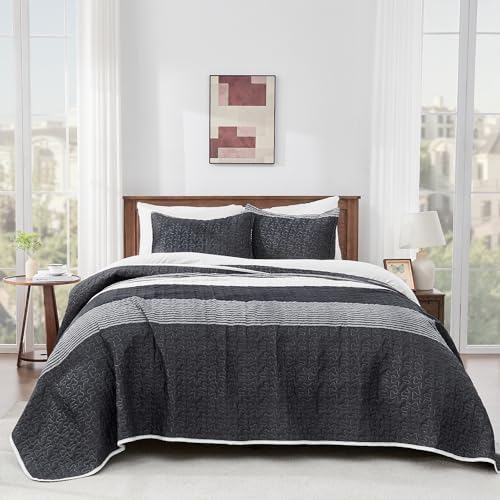 Andency Queen Quilt Set Black and White Striped
