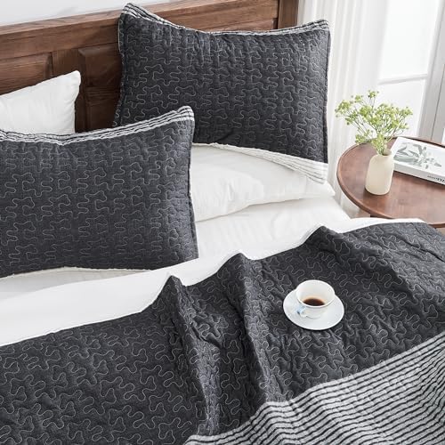 Andency Queen Quilt Set Black and White Striped