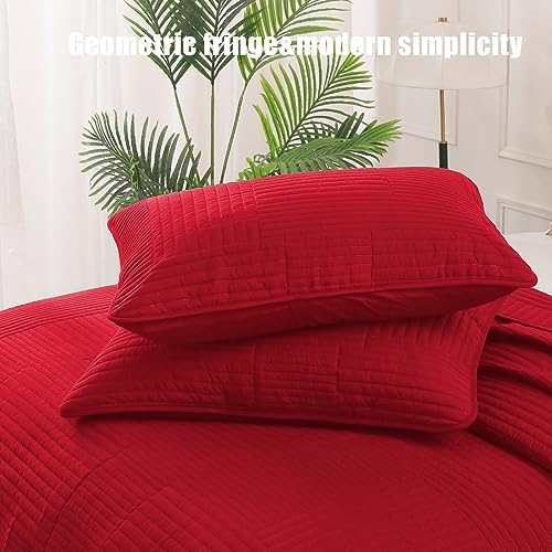 Whale Flotilla Ultra Soft Twin Quilt Set