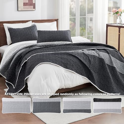 Andency Queen Quilt Set Black and White Striped
