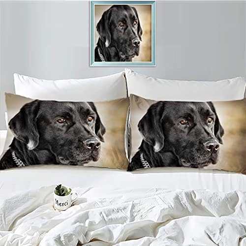 Queen Duvet Cover Set with Zipper Microfiber for Soft Sleep