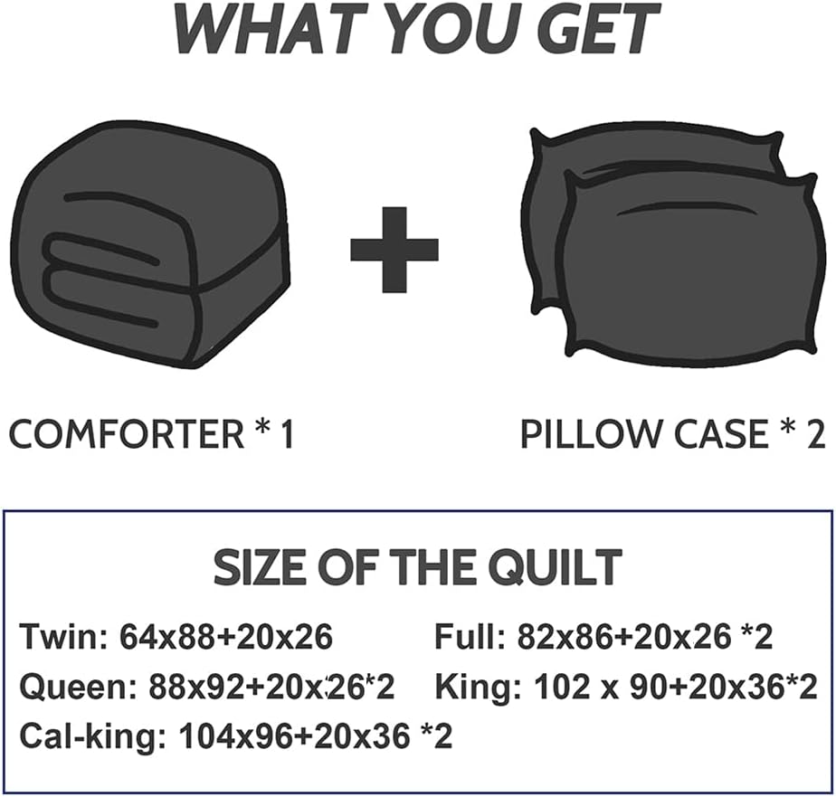 Decroom Lightweight Twin Comforter Set - BlackGrey