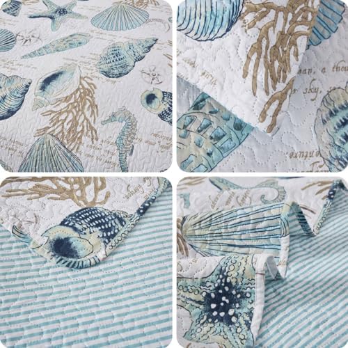 Oliven 3 Piece Ocean Themed Shell Quilt Set Queen Size