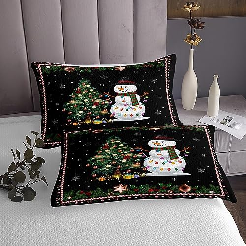 Feelyou Christmas Bedspread King Size Quilt Set