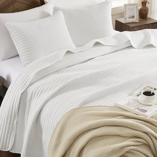 WRENSONGE Queen Quilt Set 3-Piece Microfiber