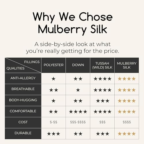 THE COTTON SILK 100 Mulberry Silk Duvet Insert - Queen Size