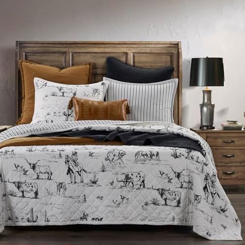 Paseo Road Western Quilt Set 3 Piece Full Queen