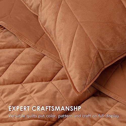 Evergrace Burnt Orange Velvet Quilt Set with 2 Shams