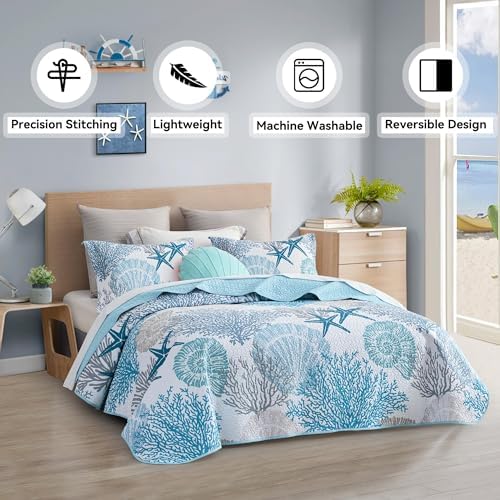 Tritard 3 Piece Coastal Quilt Set FullQueen - Reversible Microfiber with 2 Shams