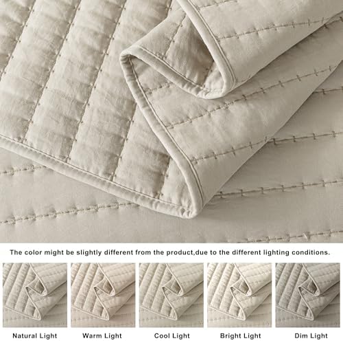 ROARINGWILD Neutral Beige Queen Quilt Set with 2 Pillow Shams