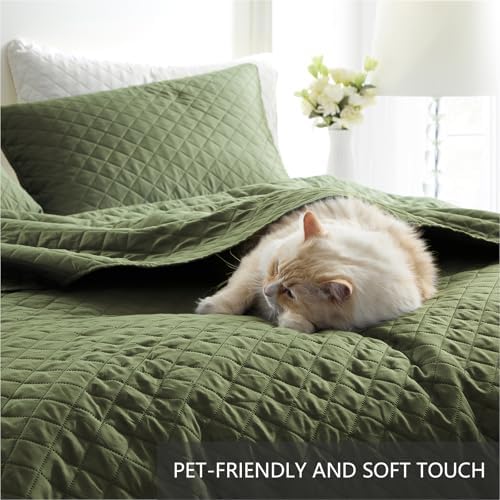 Homelike Moment Queen Quilt Set Olive Green 1
