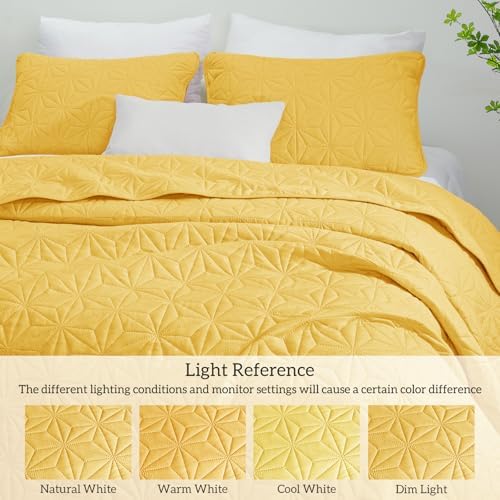 Whale Flotilla Queen Quilt Set with Geometric Star Pattern