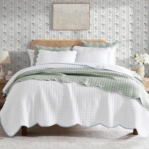 WDCOZY King Size Quilt Bedding Set with Blue Edge