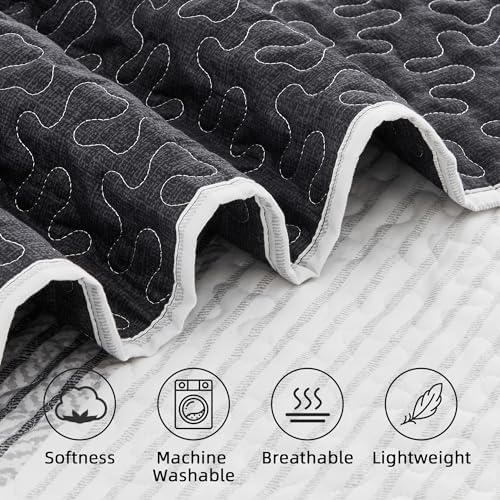 Andency Queen Quilt Set Black and White Striped