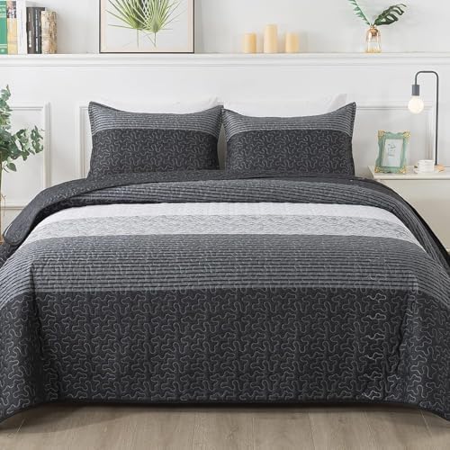 Andency Queen Quilt Set Black and White Striped