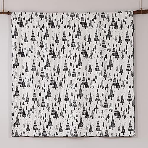 Levtex Home Northern Star Quilt Set - FullQueen 88x92in 2 Pillow Shams 26x20in
