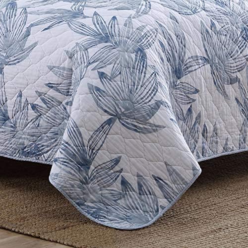 Tommy Bahama Queen Quilt Set with Shams - Kayo Blue