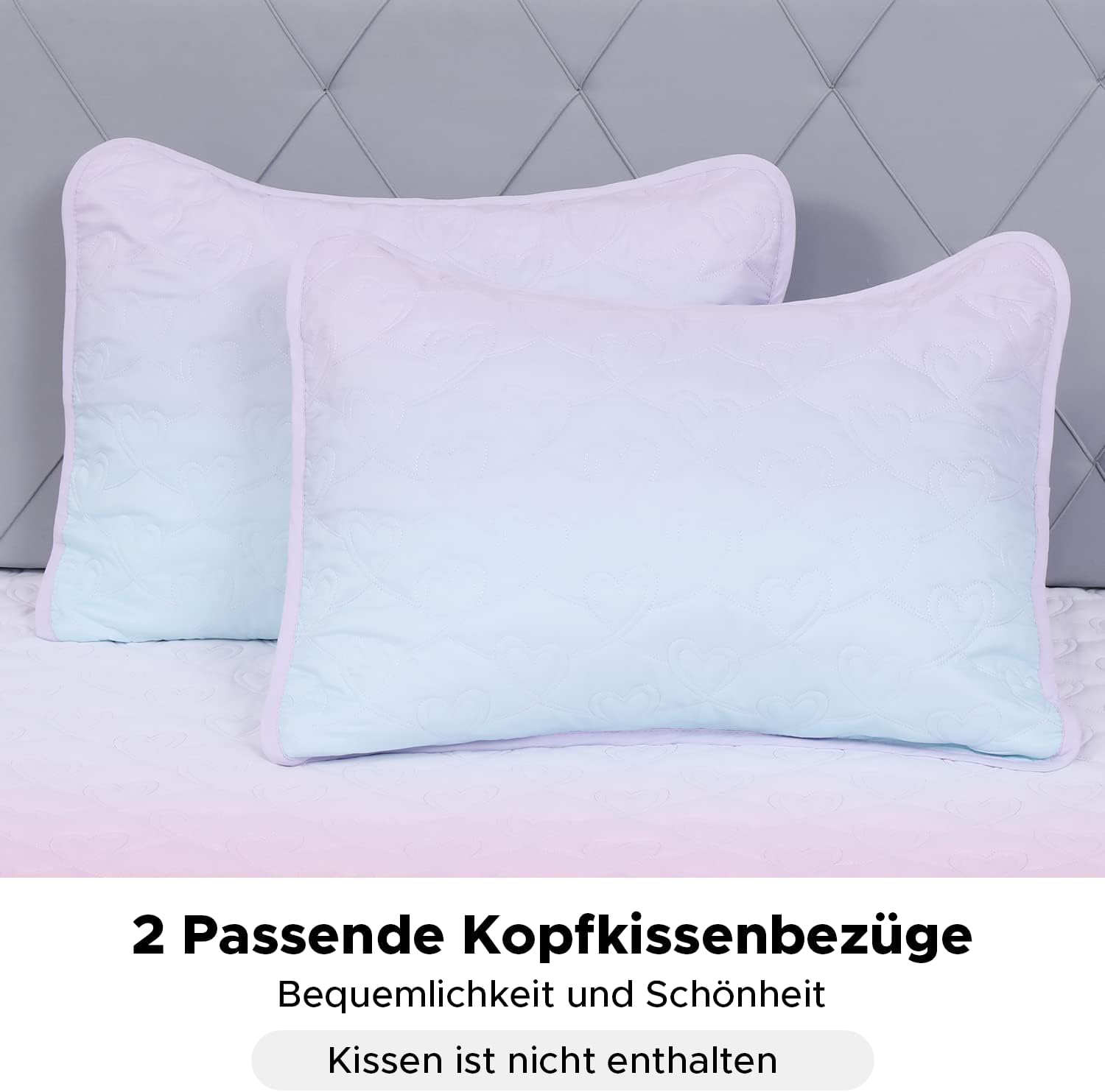 SCHNAUZER HOME Quilt Set Full Queen 3 Piece Bailey Pattern