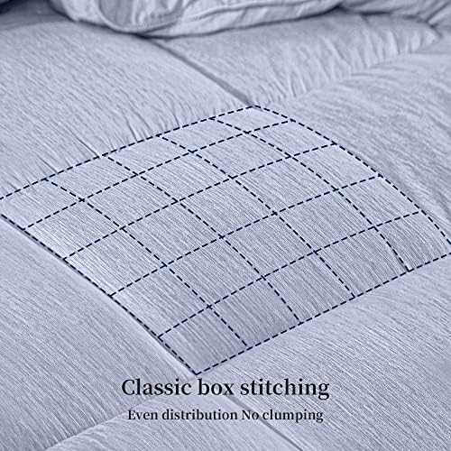 Kingsley Trend 3-Piece Queen Comforter Set with Pillow Shams