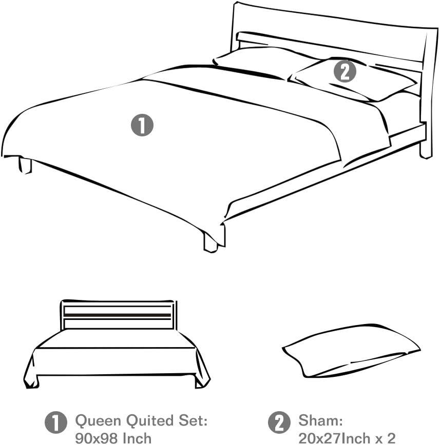 Travan 3-Piece Queen Quilt Set with Shams 1
