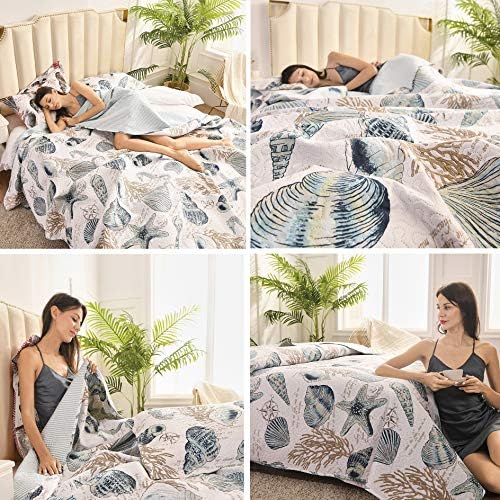 Oliven 3 Piece Ocean Themed Shell Quilt Set Queen Size