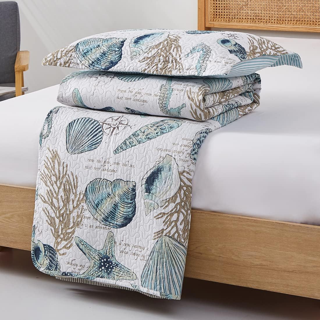 Oliven 3 Piece Ocean Themed Shell Quilt Set Queen Size