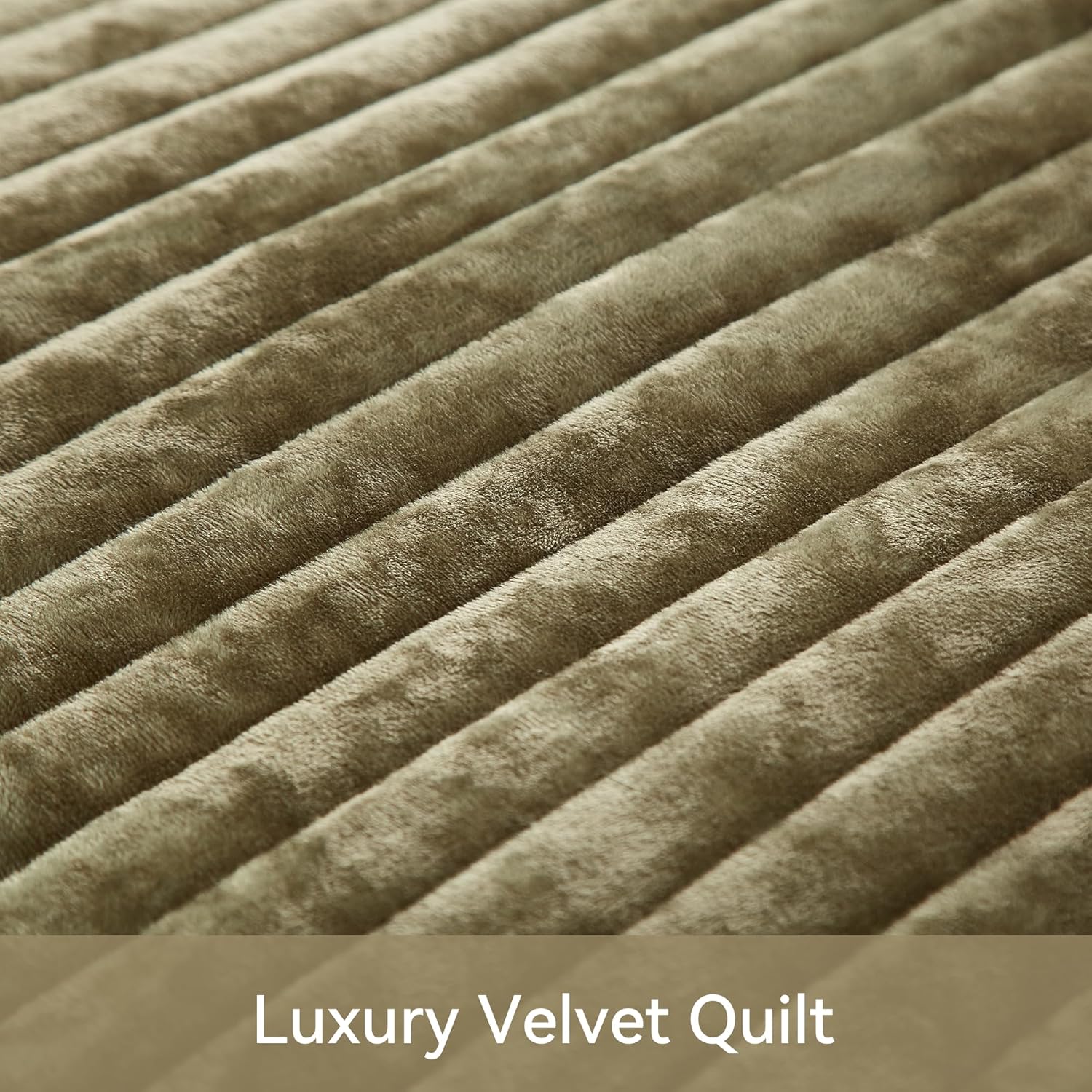 Weigelia Velvet Quilt Set Olive Green Striped Queen Size