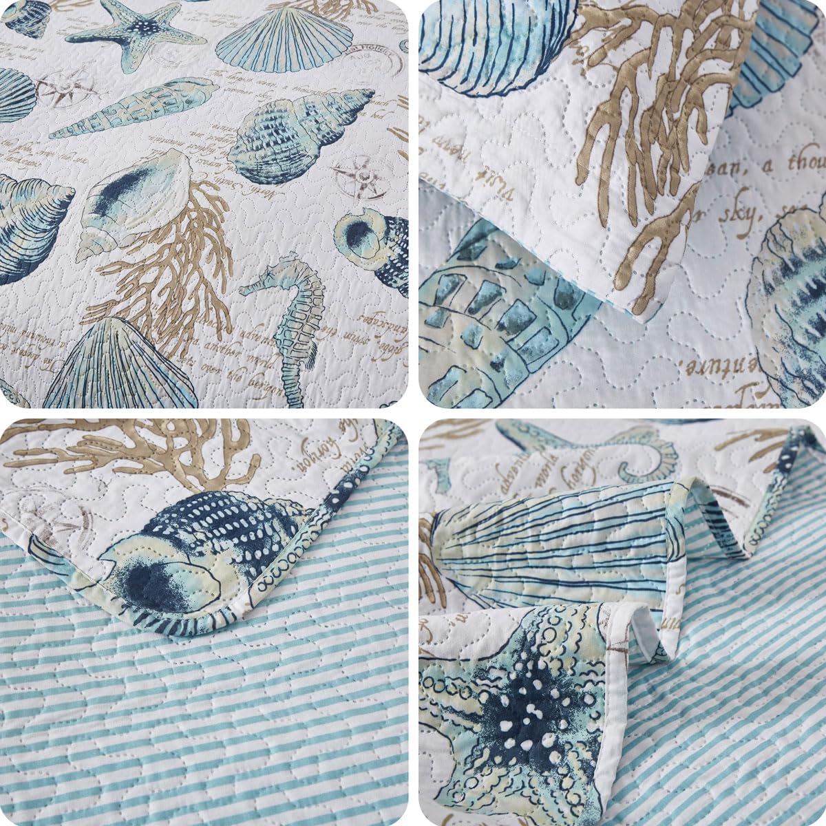 Oliven 3 Piece Ocean Themed Shell Quilt Set Queen Size
