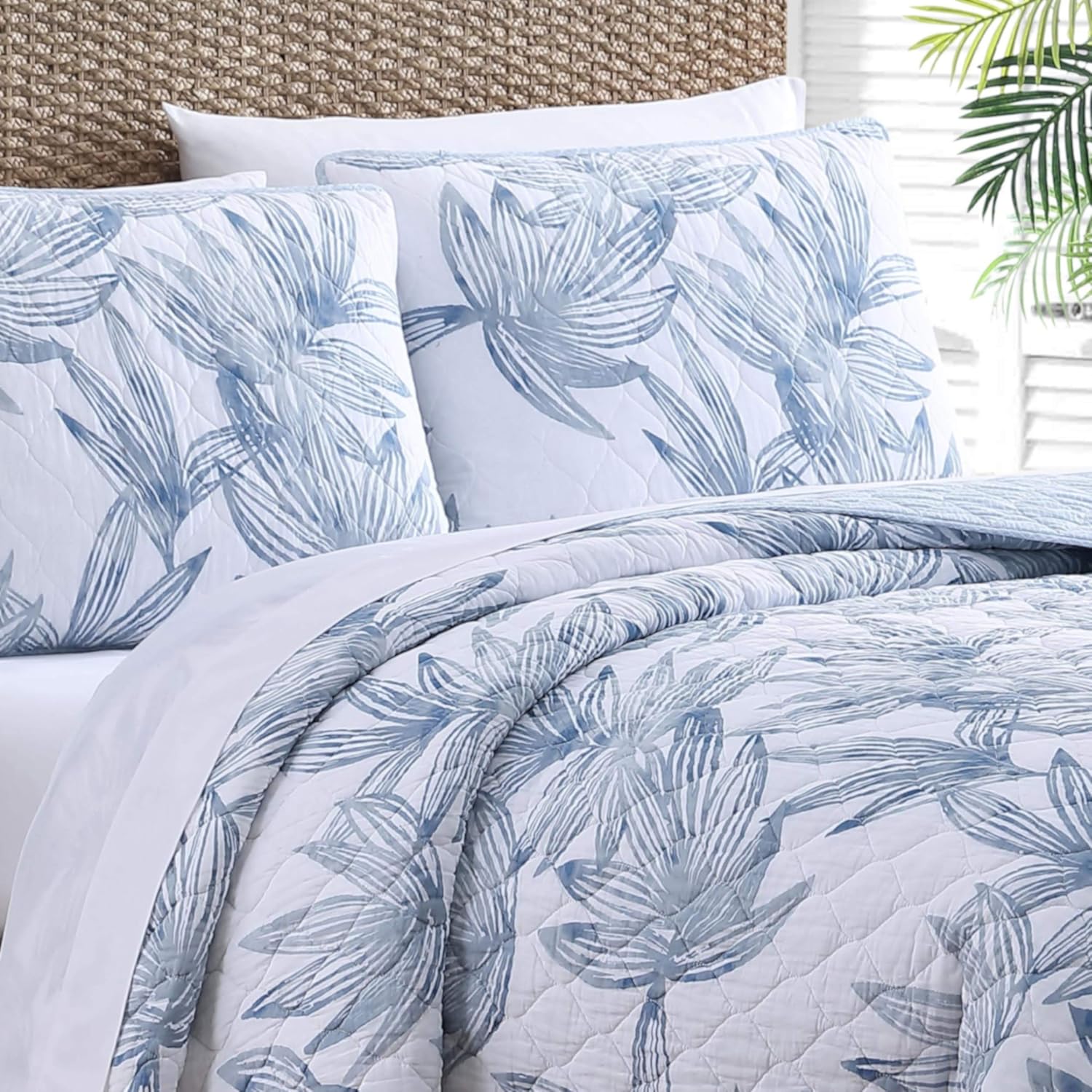 Tommy Bahama Queen Quilt Set with Shams - Kayo Blue